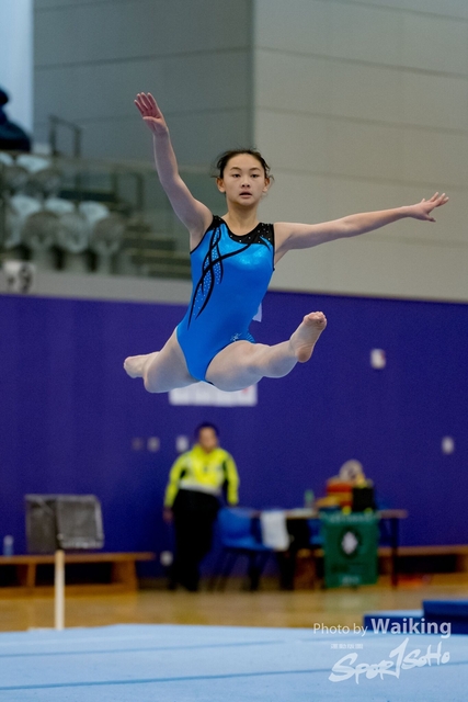 2020-01-19 Artistic Gym 0500