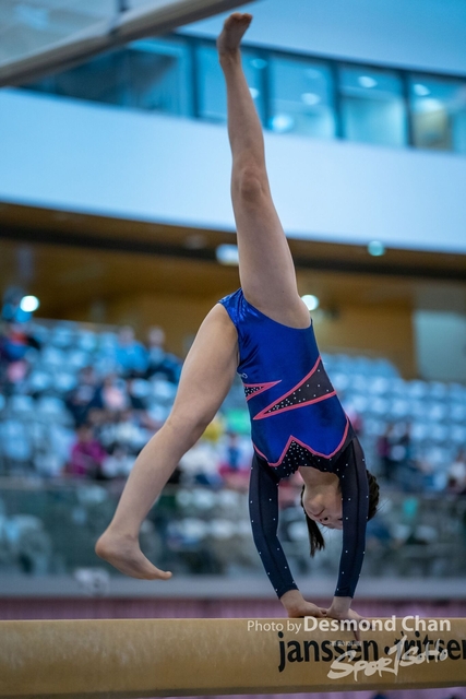 _DSC1062