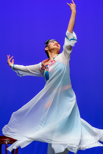 SoloDance-499