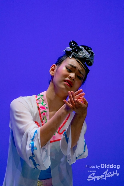 SoloDance-513