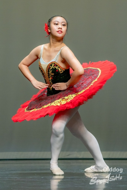 SoloDance-306