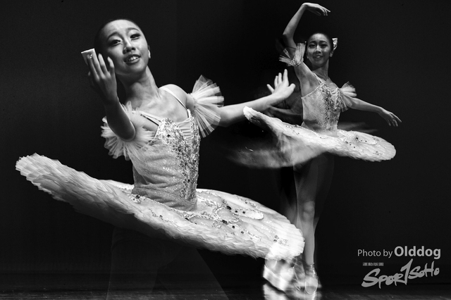 SoloDance-365