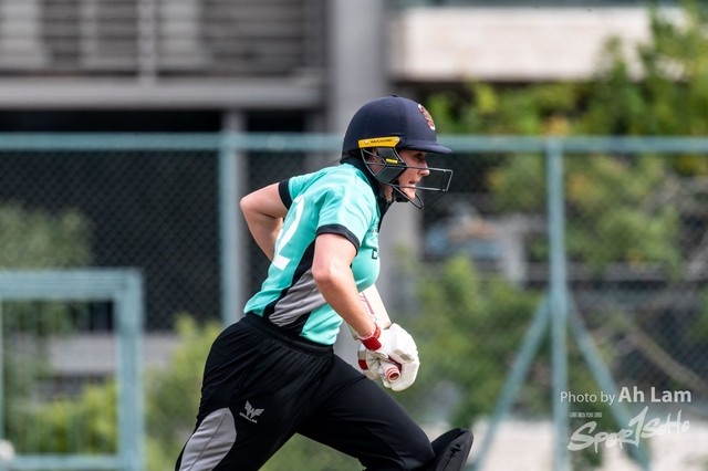 NZ6_6031