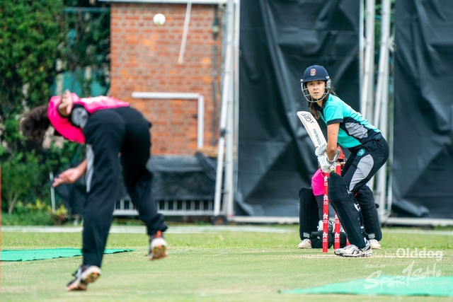 Cricket-8