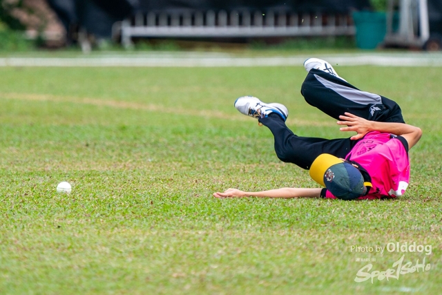 Cricket-15