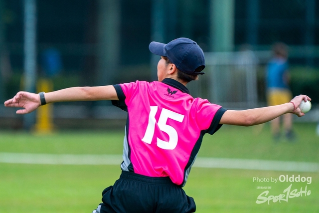 Cricket-20