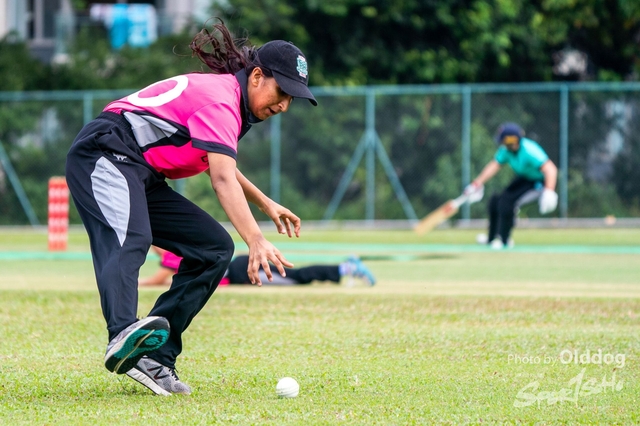 Cricket-36
