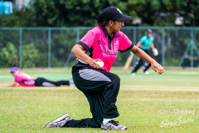 Cricket-37