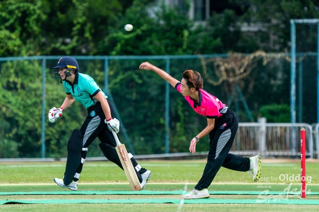 Cricket-42