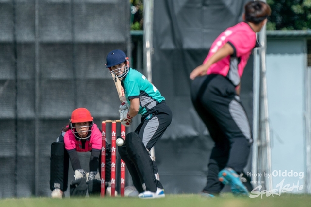 Cricket-86