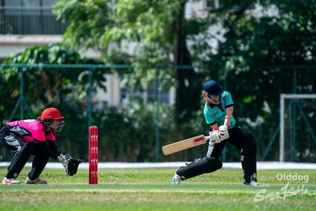 Cricket-100
