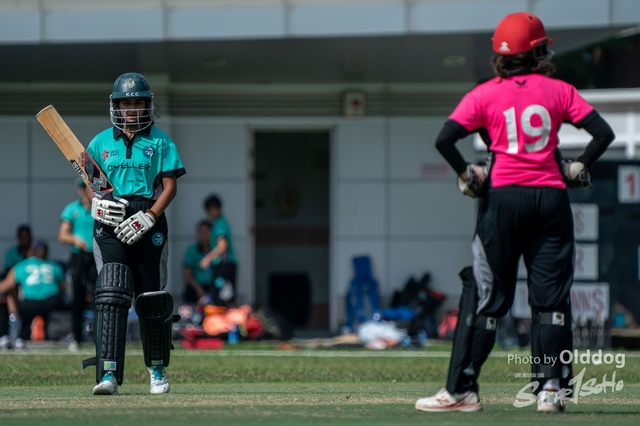 Cricket-104
