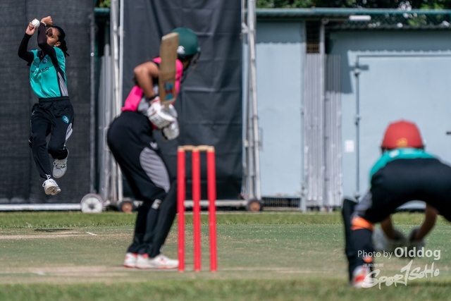 Cricket-113
