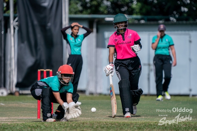 Cricket-116
