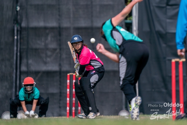 Cricket-118