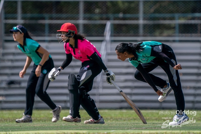 Cricket-122