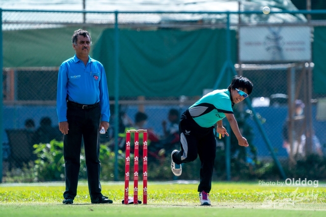 Cricket-133