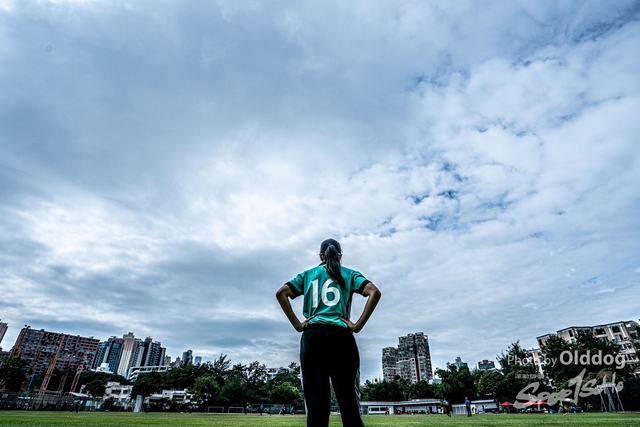 Cricket-175