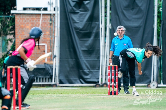 Cricket-176