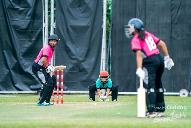 Cricket-183