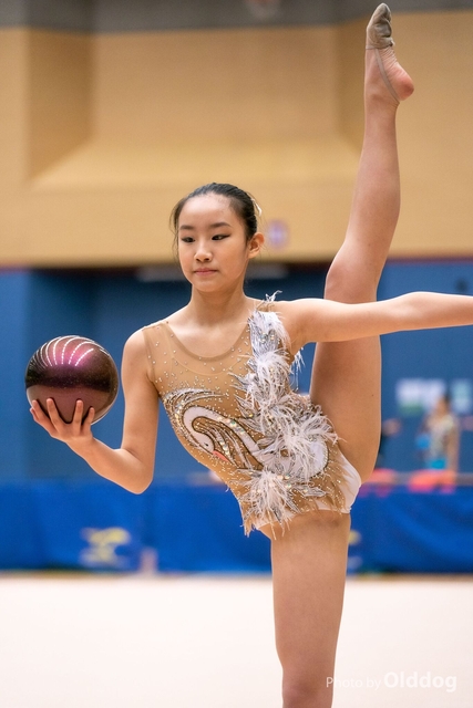 Gymnastics-201