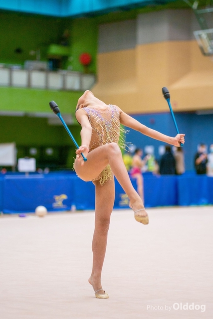 Gymnastics-300