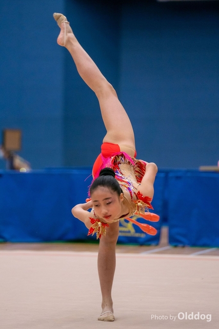 Gymnastics-325