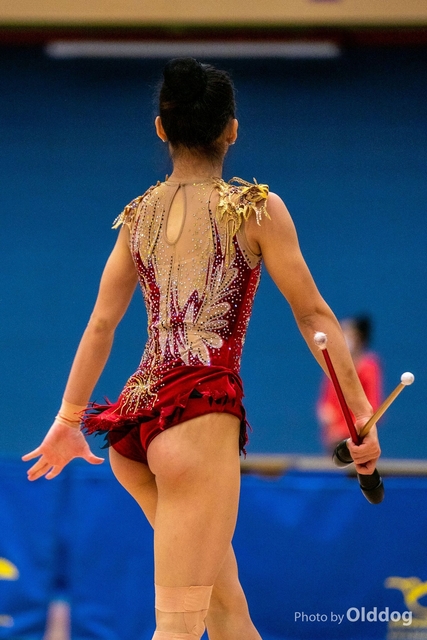 Gymnastics-365