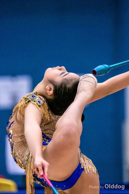 Gymnastics-378