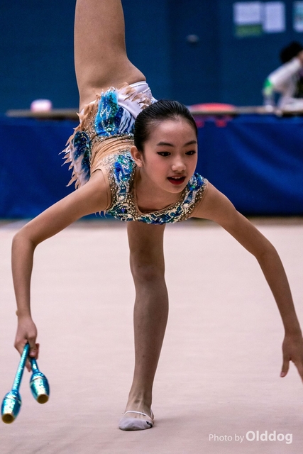 Gymnastics-393