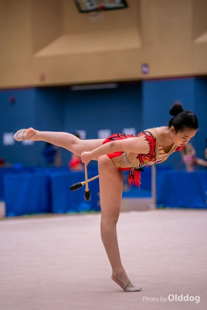 Gymnastics-413