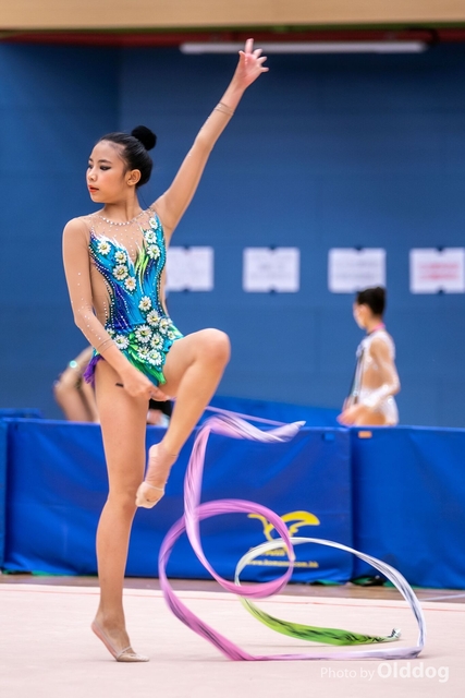 Gymnastics-490