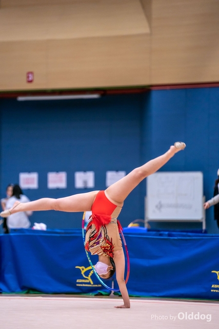Gymnastics-728
