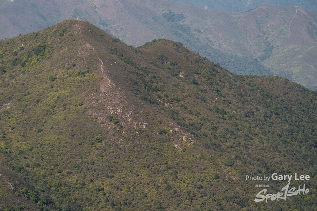 2021-01 屏風山 0014
