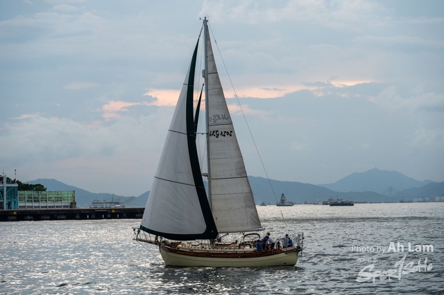Z62_2634