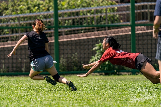 HK Pan Asia Tournament 0115