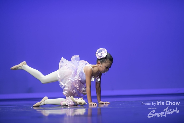 CYY_2381