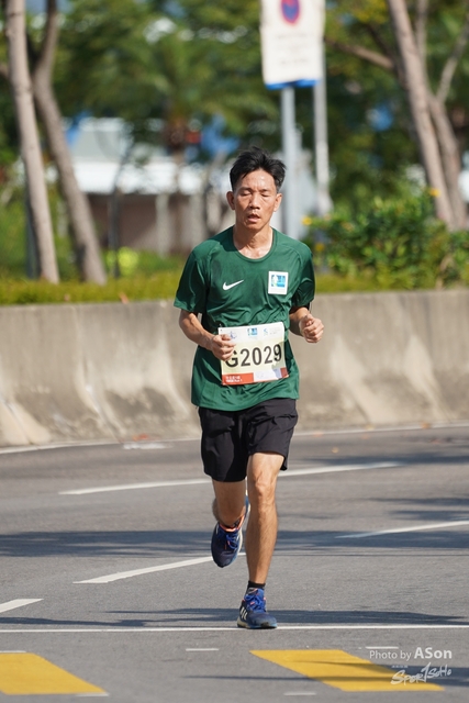 SON07446