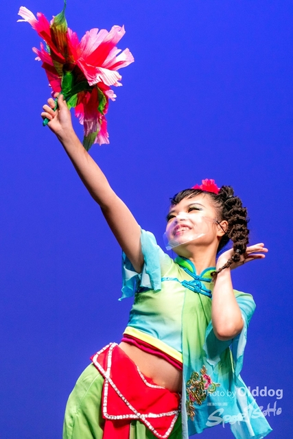 SoloDance-3