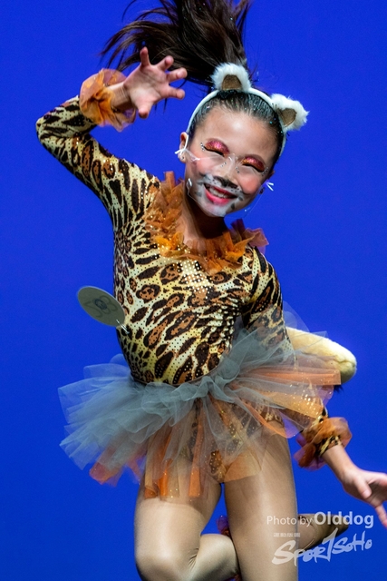 SoloDance-627