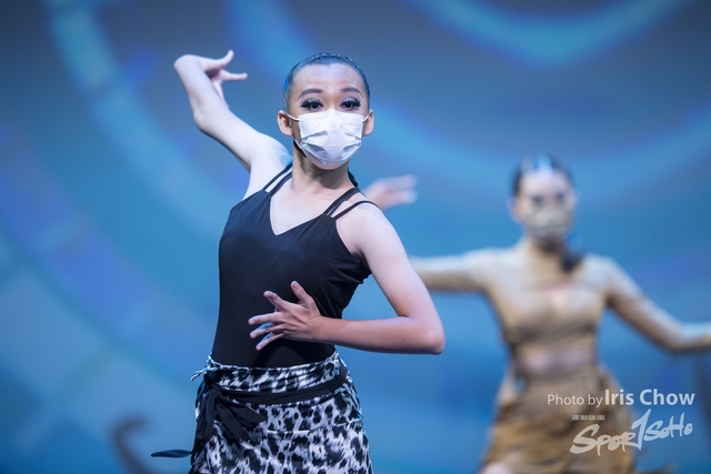 CYY_0453
