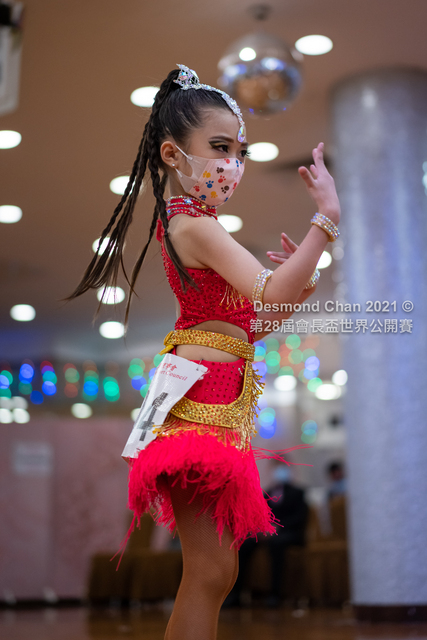 _DSC0011