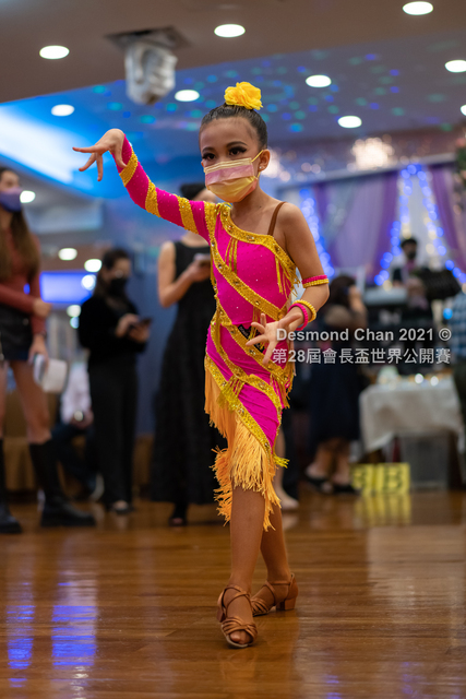 _DSC0293