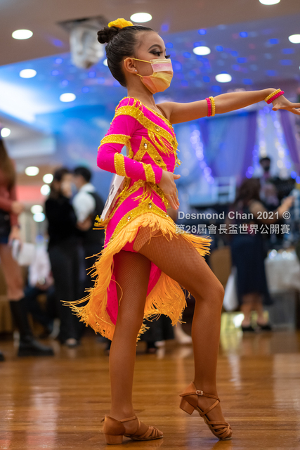 _DSC0294
