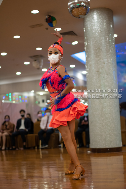 _DSC0353
