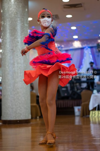 _DSC0369
