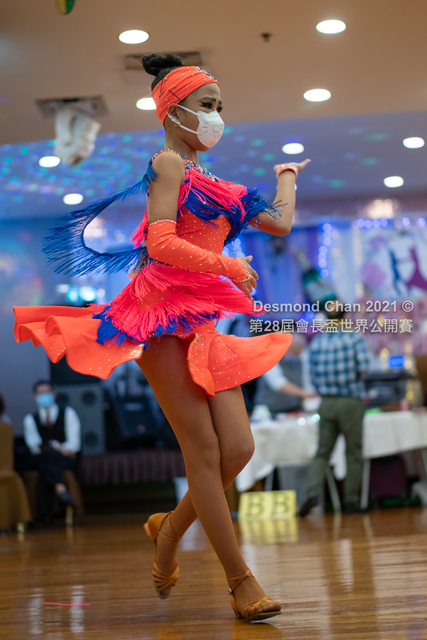 _DSC0377