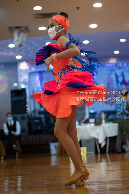 _DSC0378