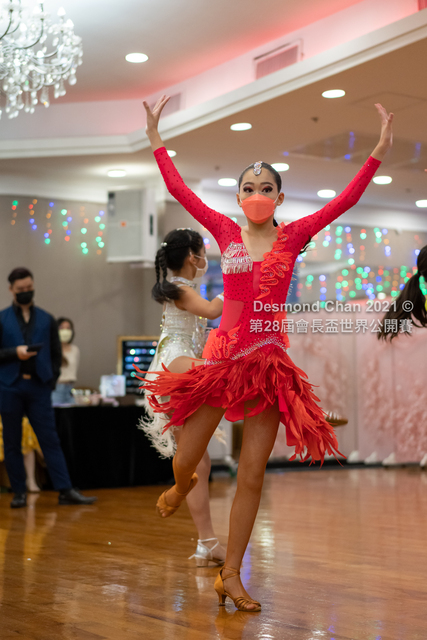_DSC0584