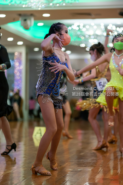_DSC5393